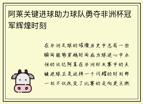 阿莱关键进球助力球队勇夺非洲杯冠军辉煌时刻